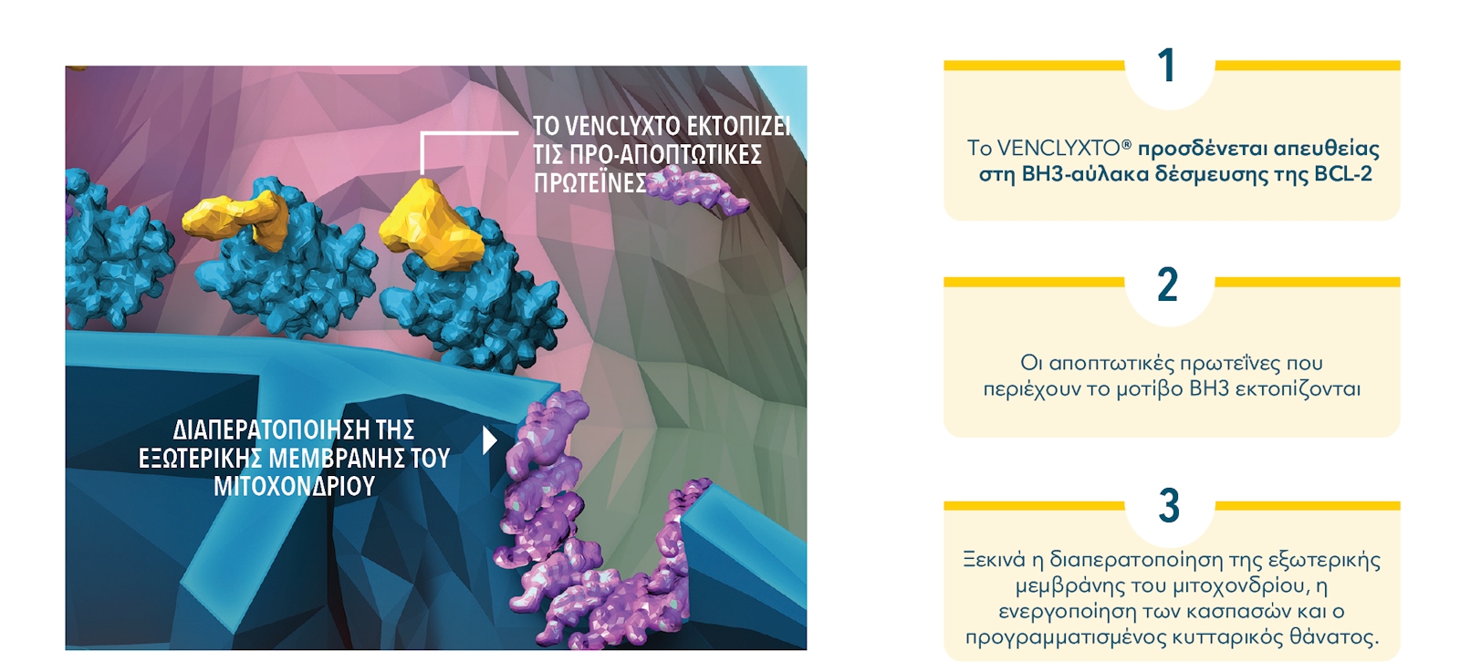 Mechanism of Action1 Mechanism of Action1